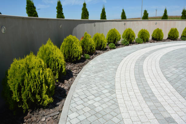 Best Local Driveway Pavers  in St Clair, MO
